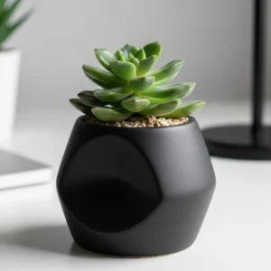 The "Zen Cube" Mini Planter Univez